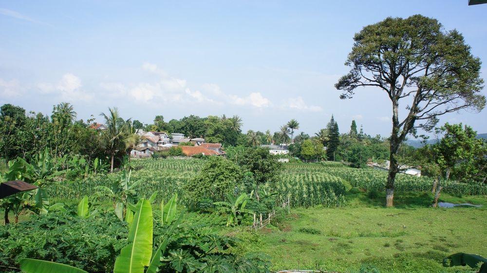 Hotel D'Agape Meeting & Conference Puncak Zewnętrze zdjęcie